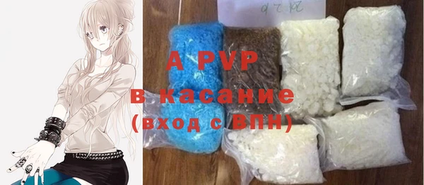 стафф Алексин