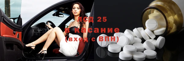 стафф Алексин