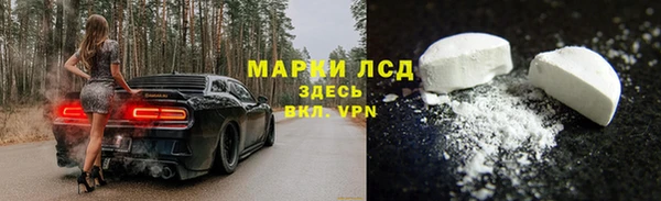 СК Алзамай