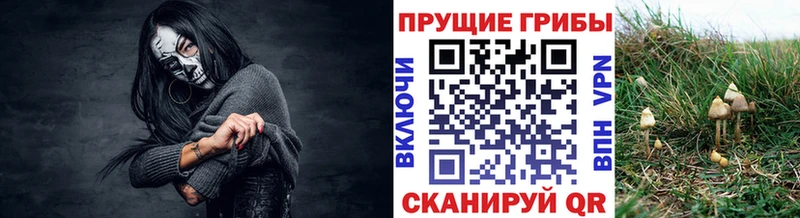 Галлюциногенные грибы прущие грибы  дарнет шоп  Ухта 